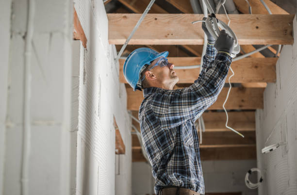 Best Circuit Breaker Repair  in Swanton, OH