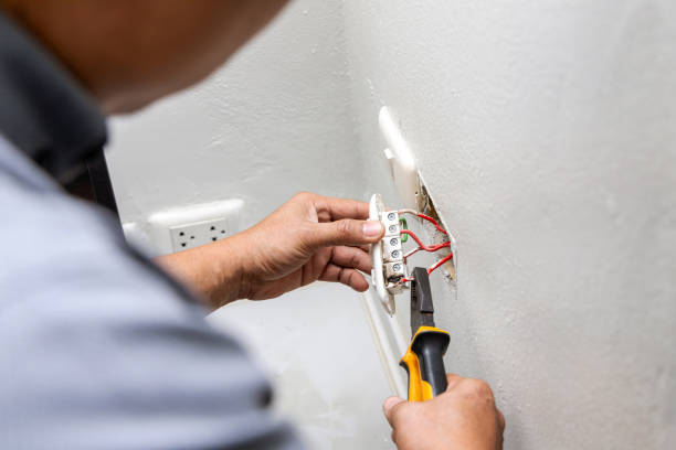 Best Electric Panel Repair  in Swanton, OH