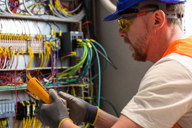Best Electrical System Inspection  in Swanton, OH